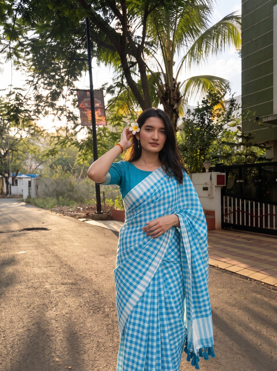 Barfi Blue