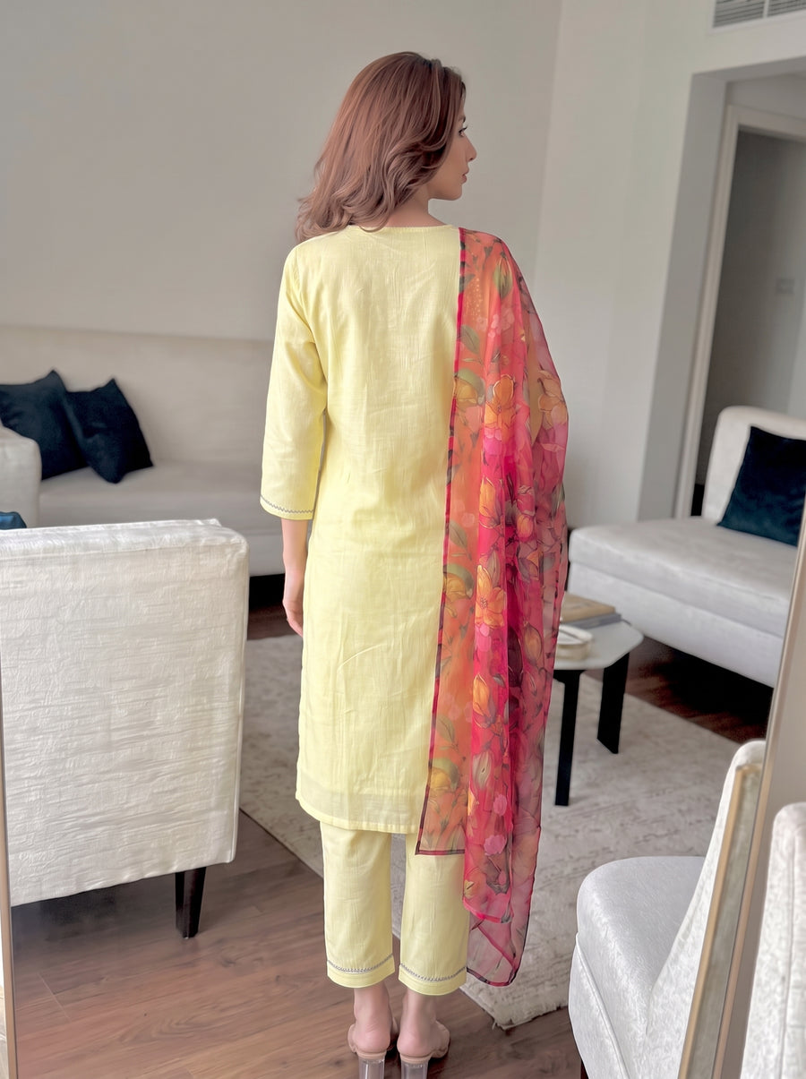 Aayat Butter Yellow Suit Set back view – The Suitable